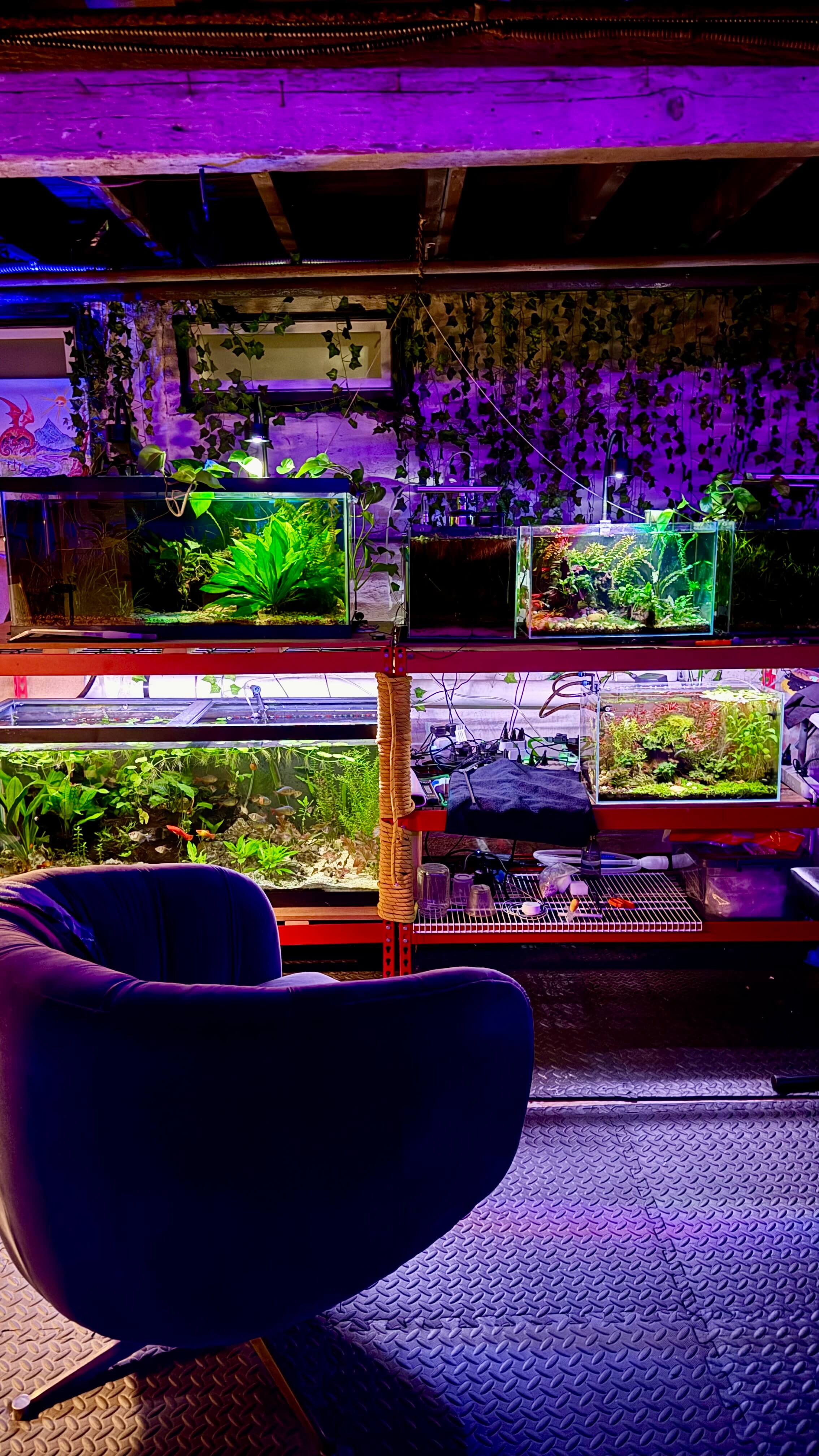 Aquarium Background